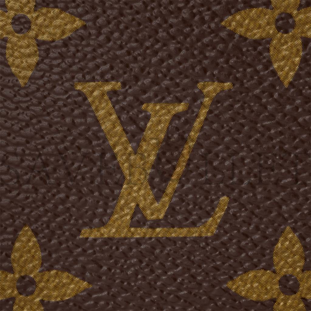 LOUIS VUITTON MINI POCHETTE ACCESSOIRES M58009 (14*9*2cm)